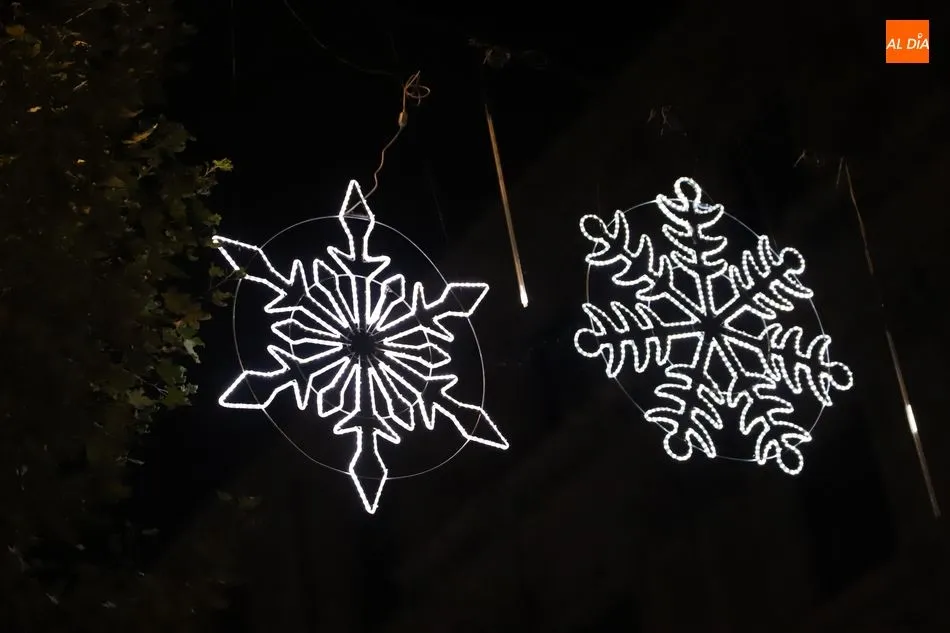 Foto 9 - Salamanca enciende las luces de la Navidad m&aacute;s at&iacute;pica