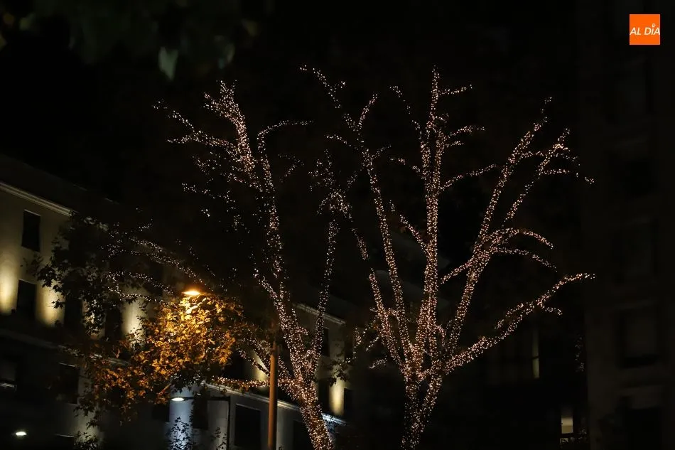 Foto 3 - Salamanca enciende las luces de la Navidad m&aacute;s at&iacute;pica