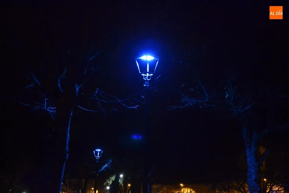 Foto 6 - La Casa Consistorial y el Parque de los Tilos se iluminan de azul por el D&iacute;a Mundial de la...
