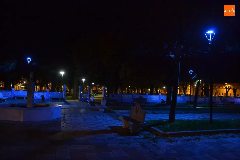 Foto 5 - La Casa Consistorial y el Parque de los Tilos se iluminan de azul por el D&iacute;a Mundial de la...