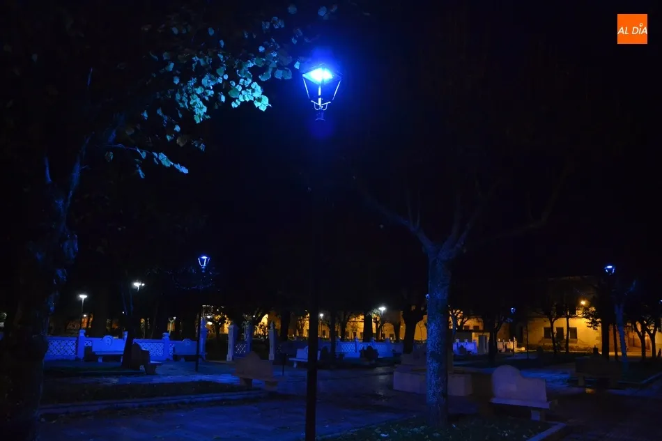 Foto 4 - La Casa Consistorial y el Parque de los Tilos se iluminan de azul por el D&iacute;a Mundial de la...