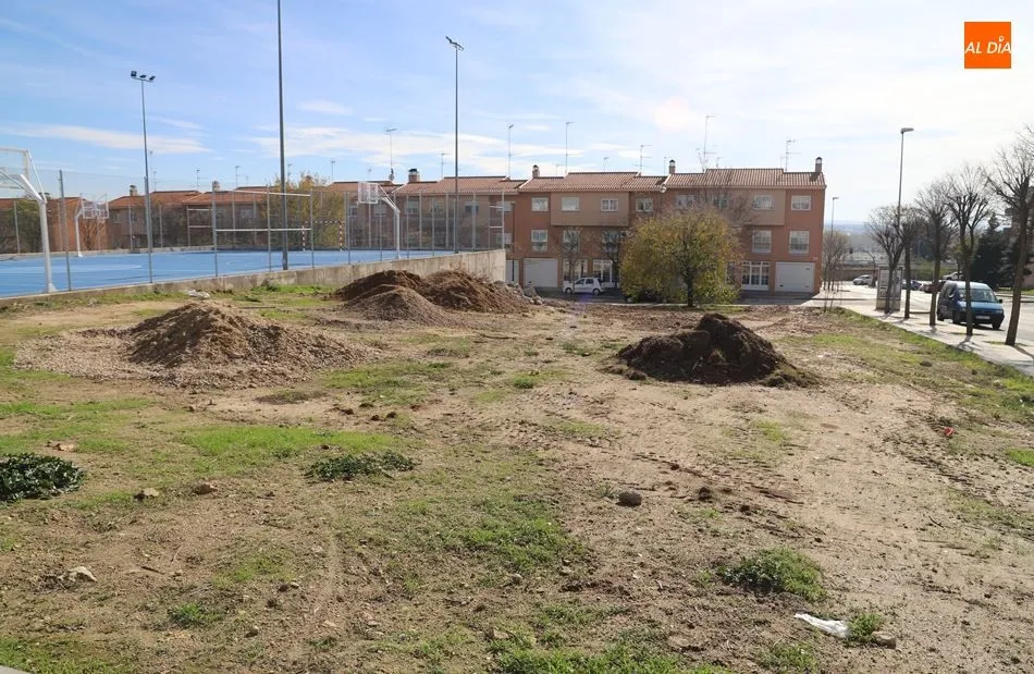Descampado junto a las pistas deportivas de la calle Santiago Madrigal. Foto de Lydia González