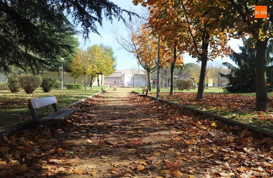 Foto 7 - Compromiso del Ayuntamiento para reforzar la limpieza y mantenimiento en calles, parques y...