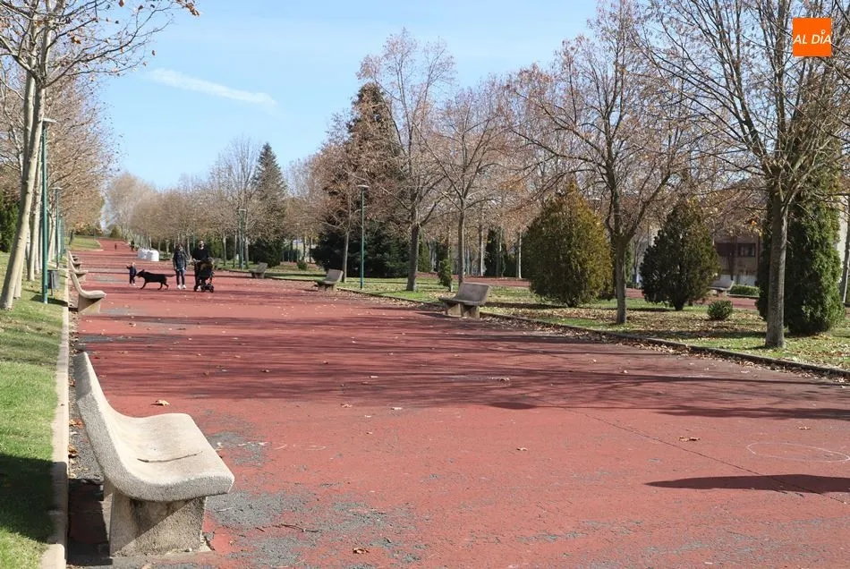 Foto 5 - Compromiso del Ayuntamiento para reforzar la limpieza y mantenimiento en calles, parques y...