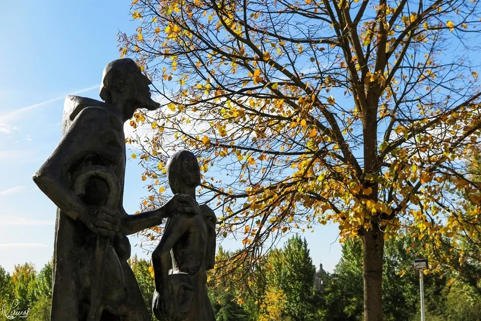 La escuela de la vida