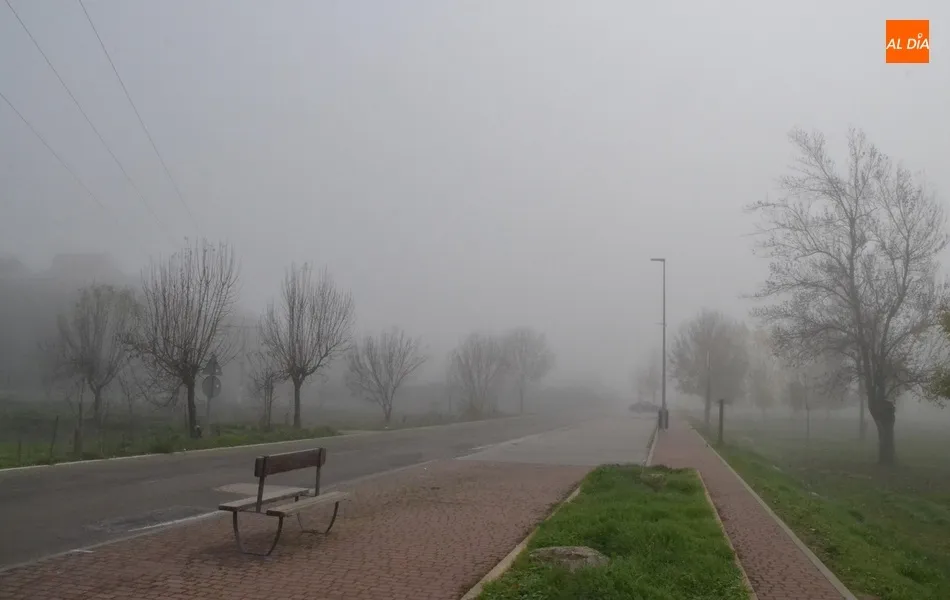 Foto 4 - Mir&oacute;briga arranca la semana envuelta en una intensa niebla  