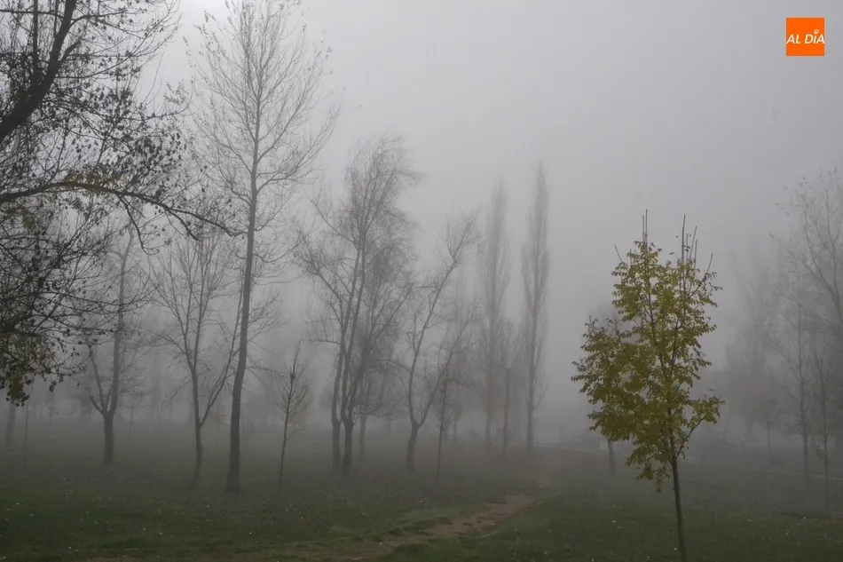 Foto 3 - Mir&oacute;briga arranca la semana envuelta en una intensa niebla  