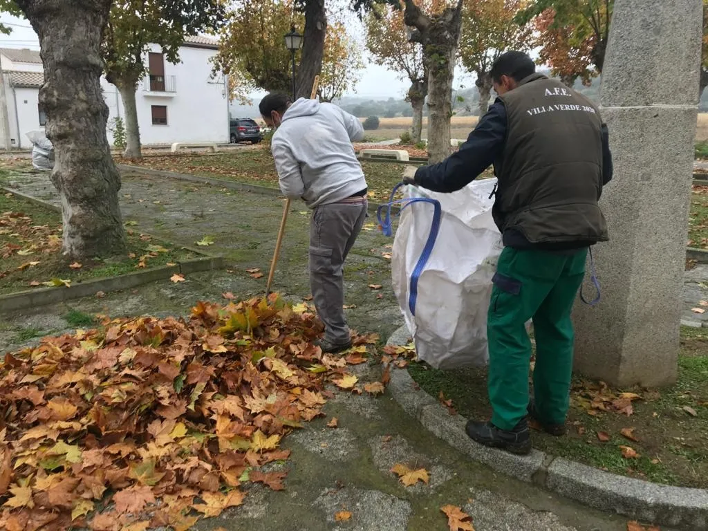 Trabajos de desbroce y recogida de hojas en Torrejón de Alba