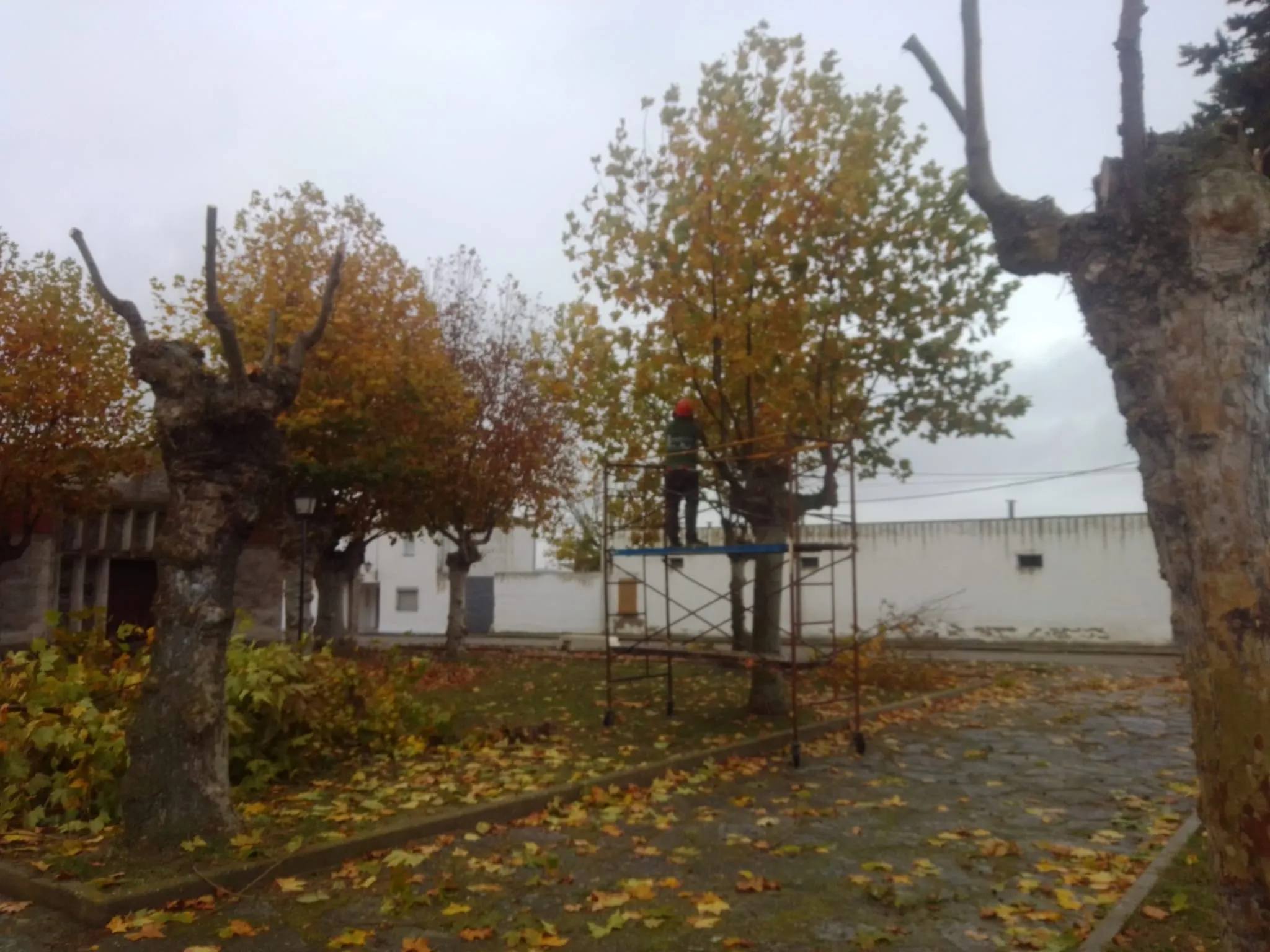 Foto 5 - Trabajos de desbroce, pintado y mantenimiento en varios puntos de Alba de Tormes y de sus pedan&iacute;as ...