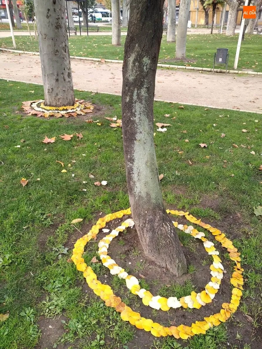 Foto 2 - Las composiciones de un alumno de Bellas Artes sorprenden en el parque de la Alamedilla