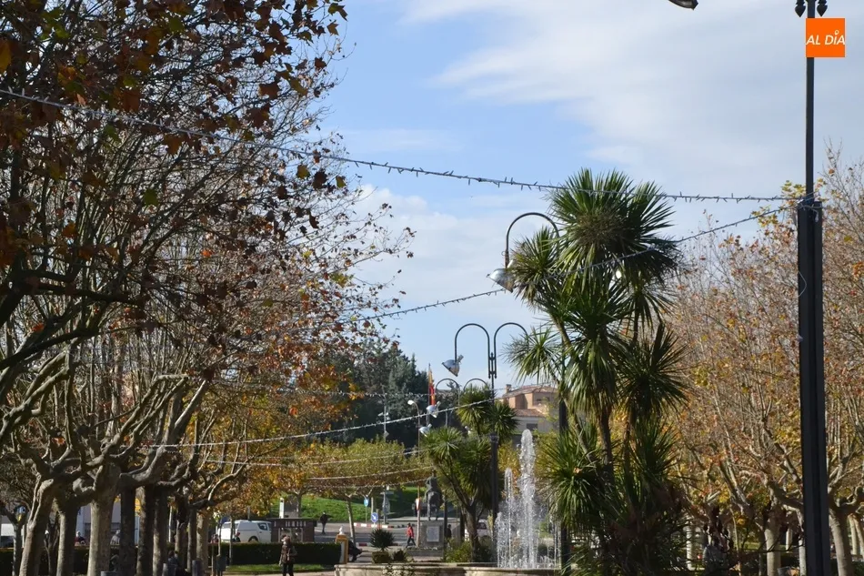 Foto 4 - El Parque de La Glorieta contar&aacute; estas Navidades con sus &lsquo;luces veraniegas&rsquo;  