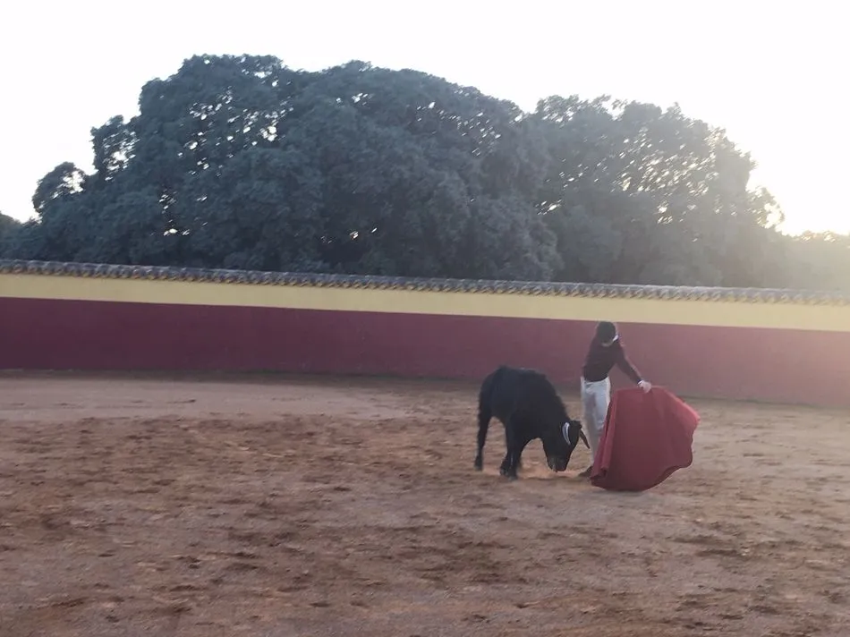 Foto 5 - Visita al tentadero en el que participan alumnos de la Escuela de Tauromaquia de la Diputaci&oacute;n