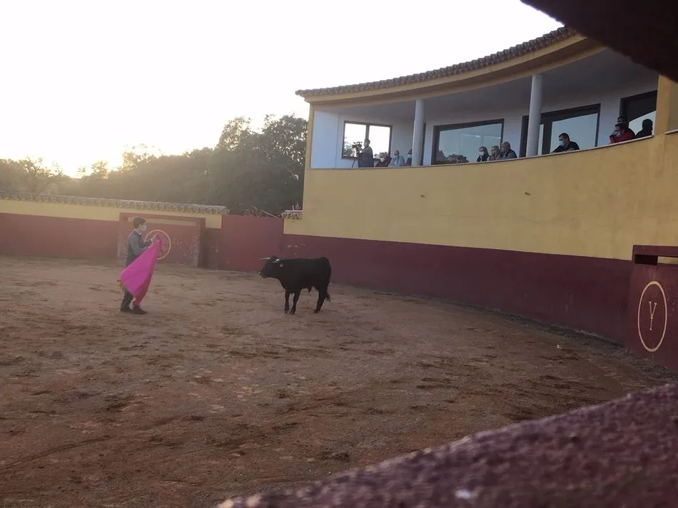 Foto 3 - Visita al tentadero en el que participan alumnos de la Escuela de Tauromaquia de la Diputaci&oacute;n