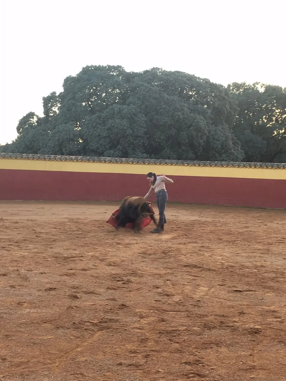 Foto 2 - Visita al tentadero en el que participan alumnos de la Escuela de Tauromaquia de la Diputaci&oacute;n