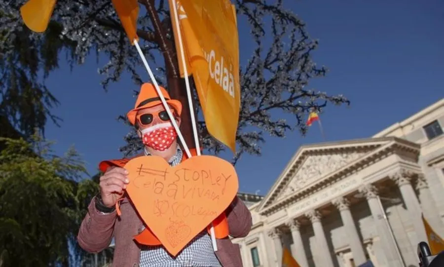 Uno de los manifestantes que protestaba por la reforma educativa ante el Congreso. Foto de archivo de EP
