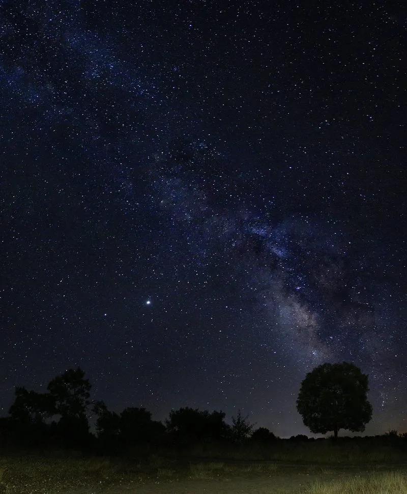 Foto 2 - Olmo Mezquita Carballo, primer premio en el concurso de fotograf&iacute;a &ldquo;Vitigudino sostenible&rdquo;,...