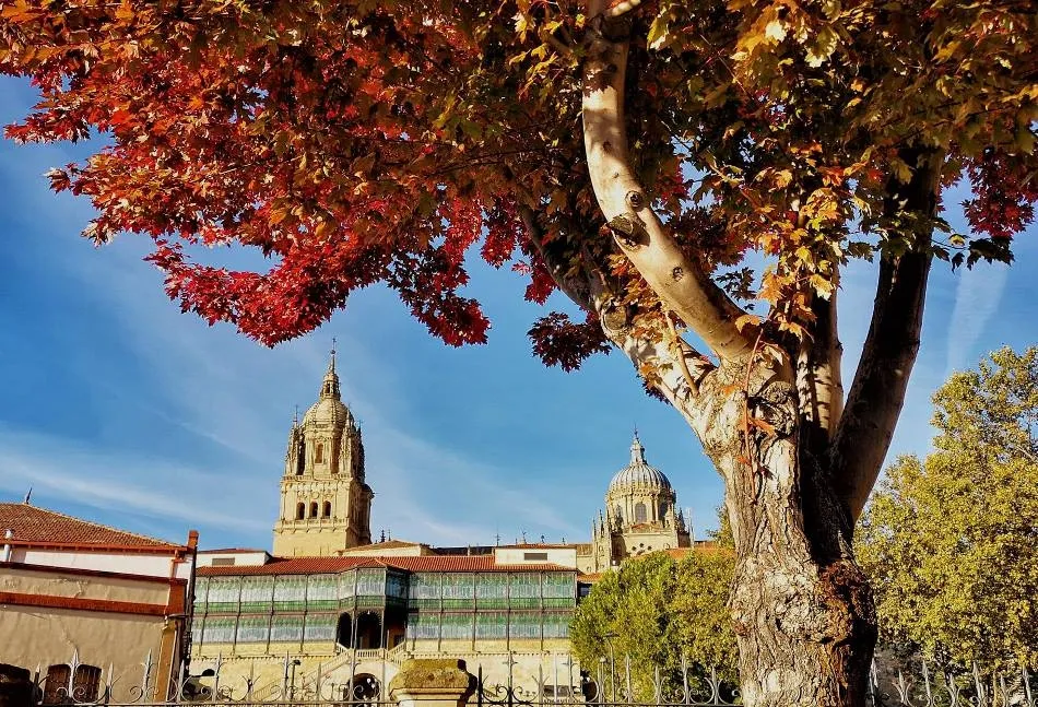 Superposición artística