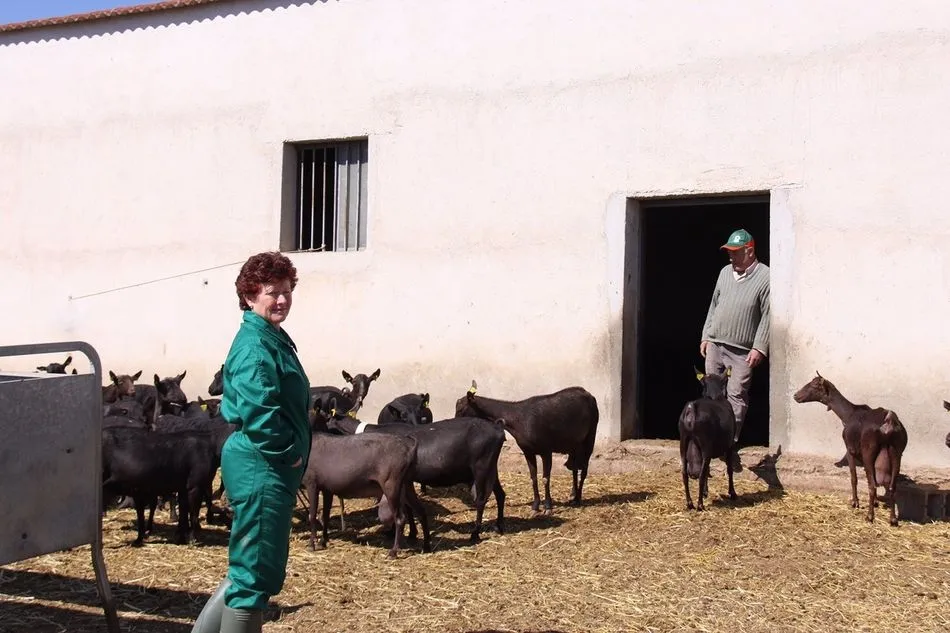 Ganaderos con cabras - UPA - Archivo