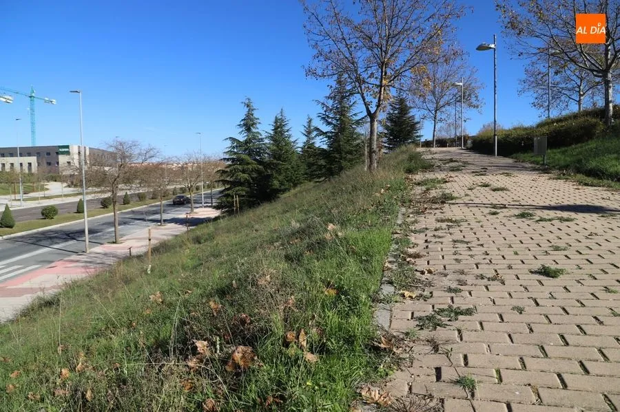 Foto 9 - Huerta Otea, un barrio joven que quiere mejoras en sus grandes parques