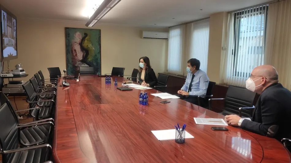 Castilla y León ha participado este lunes en la reunión de la Mesa de la Automoción