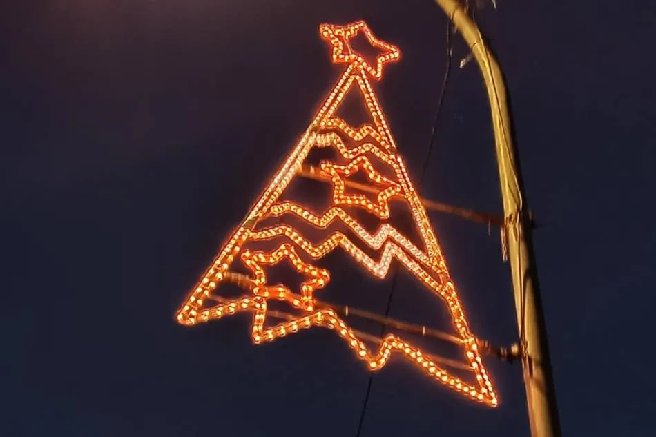 Foto 11 - Aldearrubia enciende su alumbrado navide&ntilde;o