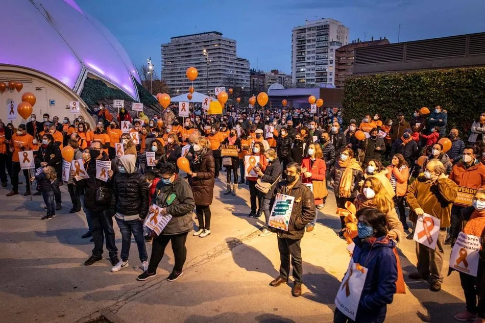 Manifestantes frente a la Delegación del Gobierno en Valladolid - Más Plurales