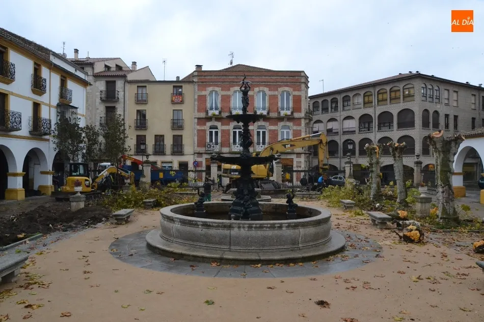 Foto 5 - La Plazuela del Buen Alcalde dice adi&oacute;s a sus hist&oacute;ricos &aacute;rboles  