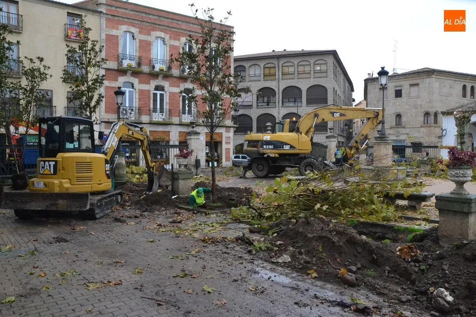 Foto 10 - La Plazuela del Buen Alcalde dice adi&oacute;s a sus hist&oacute;ricos &aacute;rboles  