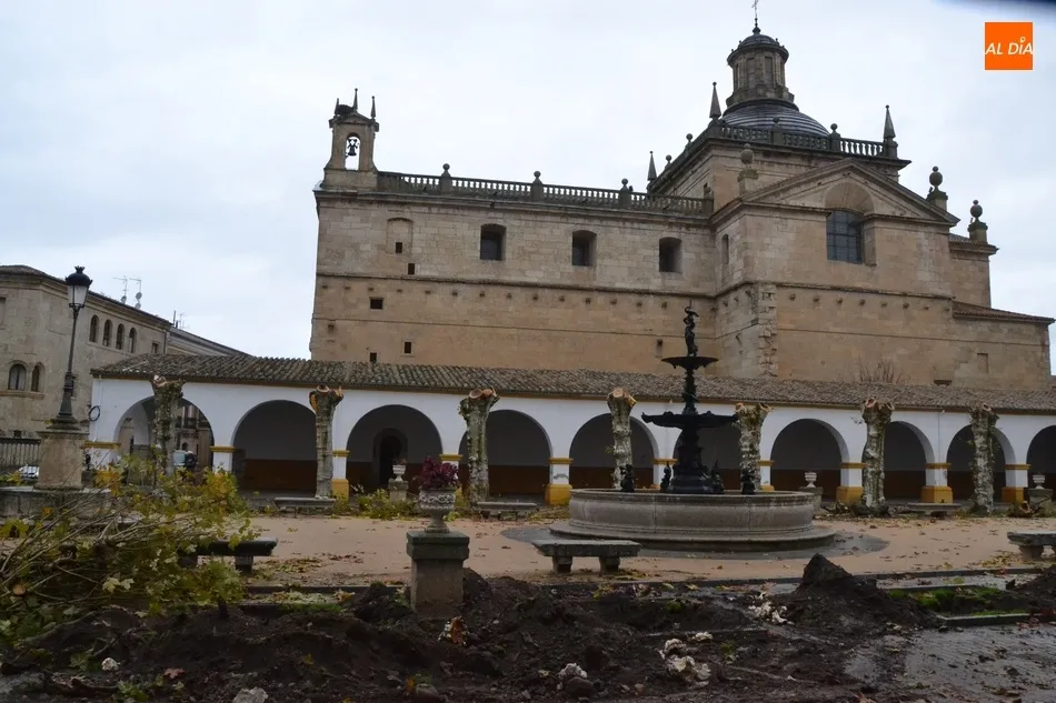 Foto 9 - La Plazuela del Buen Alcalde dice adi&oacute;s a sus hist&oacute;ricos &aacute;rboles  