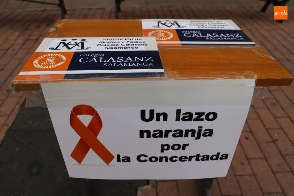 Foto 10 - AMPAS de los colegios concertados se unen para protestar por la reforma educativa