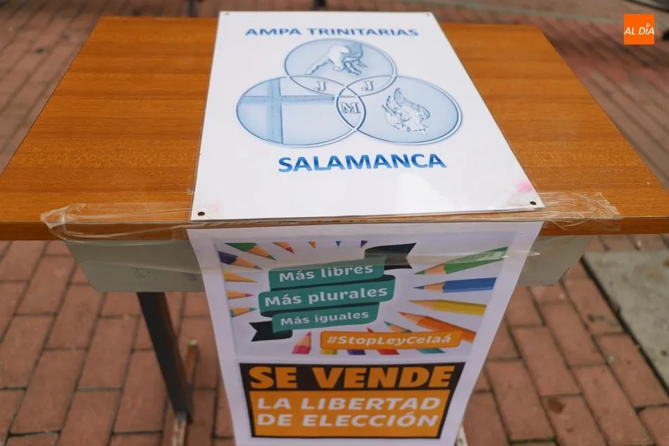 Foto 7 - AMPAS de los colegios concertados se unen para protestar por la reforma educativa