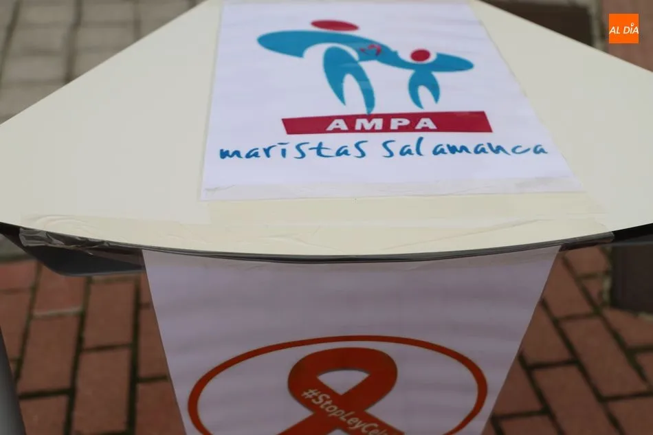 Foto 3 - AMPAS de los colegios concertados se unen para protestar por la reforma educativa
