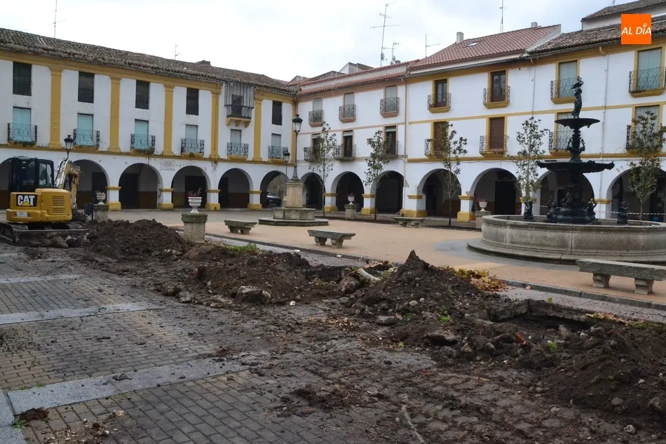 Foto 11 - La lluvia retrasa la culminaci&oacute;n de la sustituci&oacute;n de los &aacute;rboles de la Plazuela del Buen...