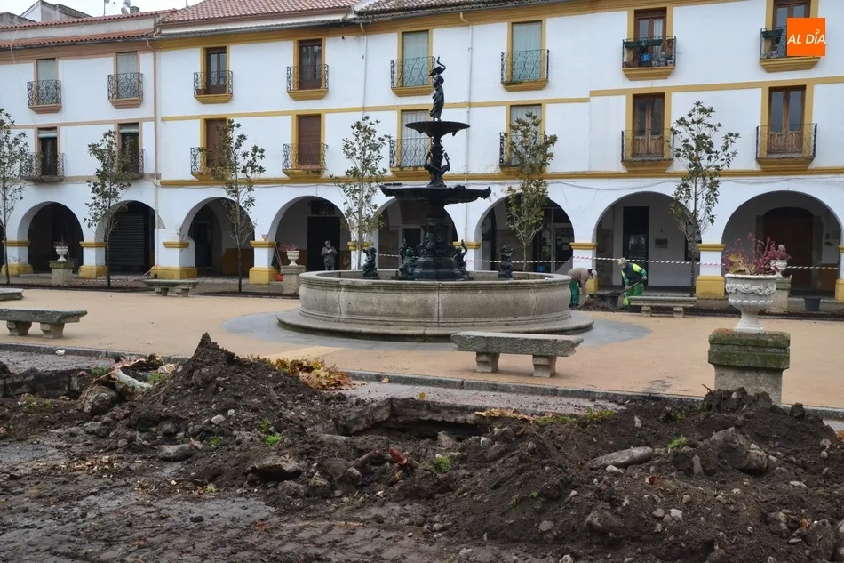 Foto 9 - La lluvia retrasa la culminaci&oacute;n de la sustituci&oacute;n de los &aacute;rboles de la Plazuela del Buen...