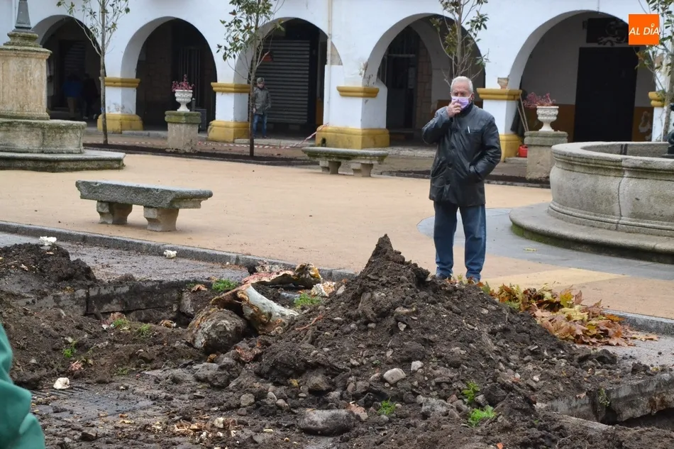 Foto 8 - La lluvia retrasa la culminaci&oacute;n de la sustituci&oacute;n de los &aacute;rboles de la Plazuela del Buen...