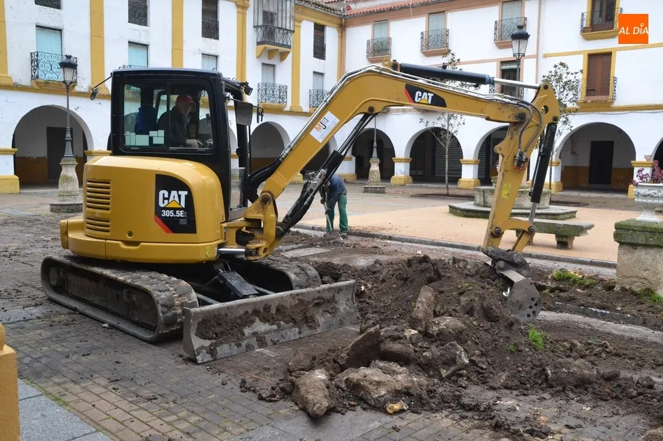 Foto 5 - La lluvia retrasa la culminaci&oacute;n de la sustituci&oacute;n de los &aacute;rboles de la Plazuela del Buen...