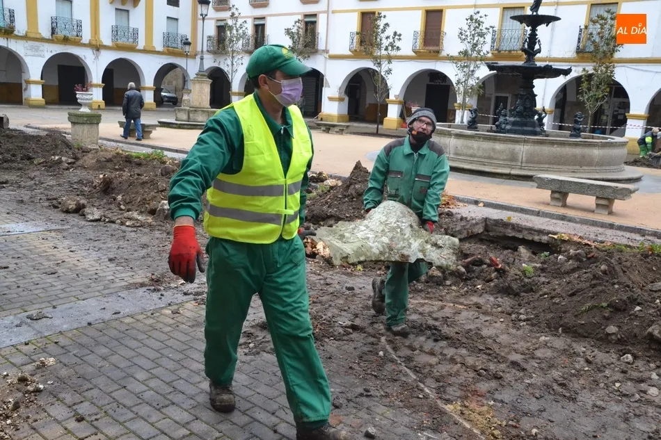 Foto 6 - La lluvia retrasa la culminaci&oacute;n de la sustituci&oacute;n de los &aacute;rboles de la Plazuela del Buen...