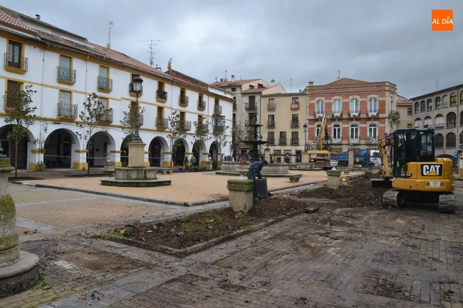 Foto 4 - La lluvia retrasa la culminaci&oacute;n de la sustituci&oacute;n de los &aacute;rboles de la Plazuela del Buen...