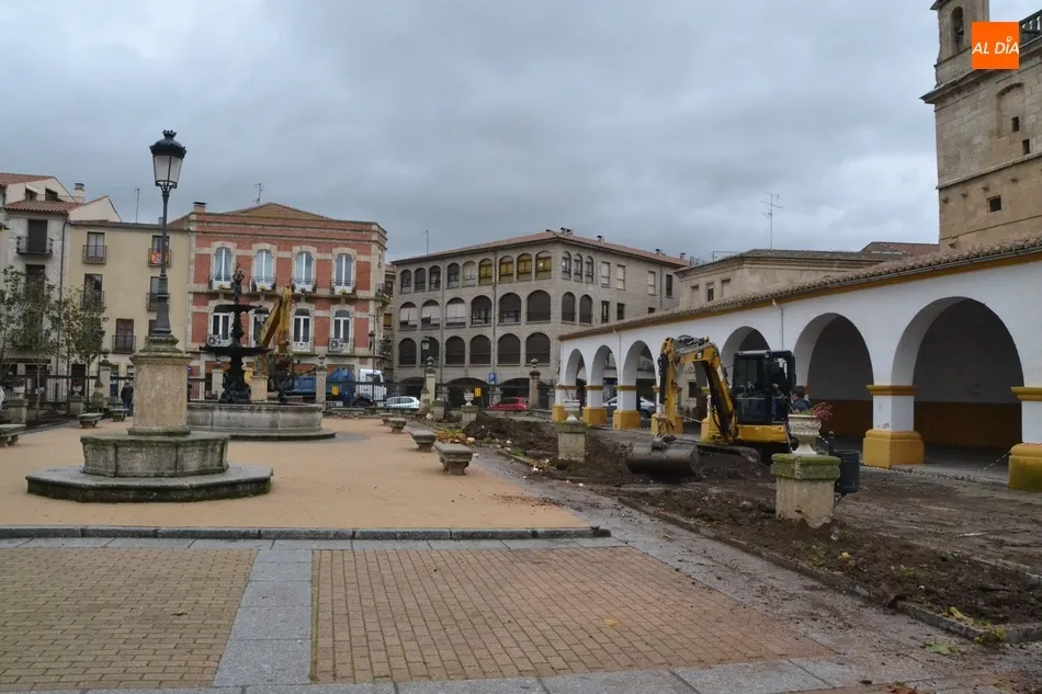 Foto 3 - La lluvia retrasa la culminaci&oacute;n de la sustituci&oacute;n de los &aacute;rboles de la Plazuela del Buen...