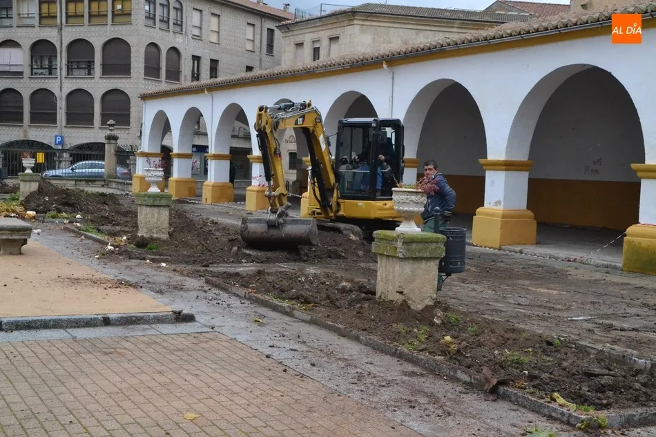 Foto 2 - La lluvia retrasa la culminaci&oacute;n de la sustituci&oacute;n de los &aacute;rboles de la Plazuela del Buen...