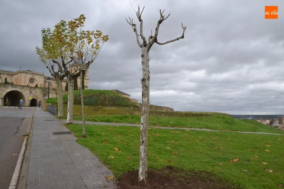 1Foto: Una segunda vida  