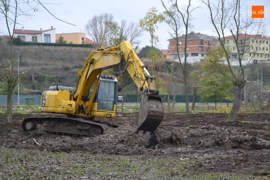 Enterrados los tocones de los árboles talados en la Alameda Vieja  