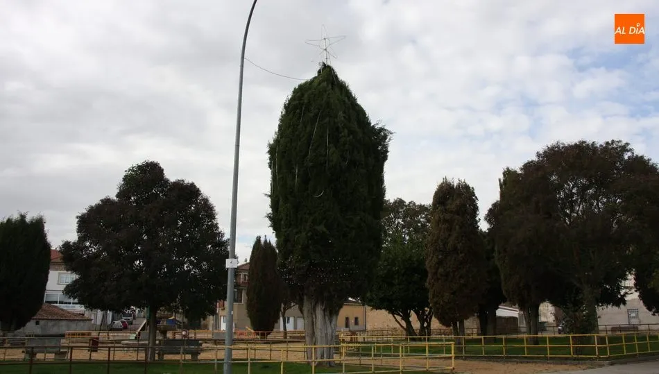 Al árbol de la Plaza de España se sumará este en el parque de la Plaza Santiago Martín El Viti