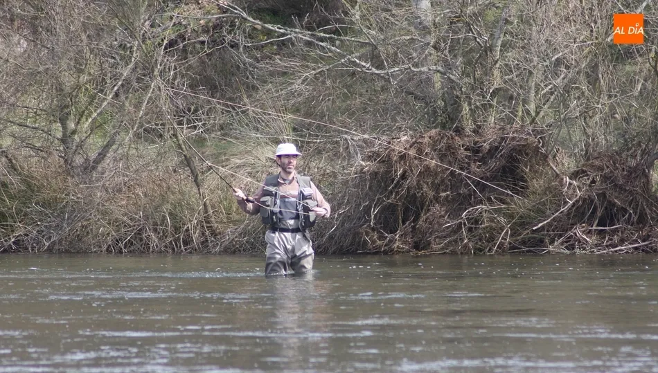 El coto para la pesca del hucho en el Tormes, el más solicitado en Salamanca  / CORRAL