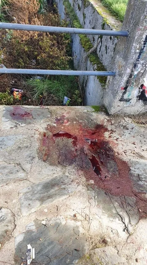 Foto 4 - Fotodenuncia | Despiece de animales en la fuente del Cornezuelo