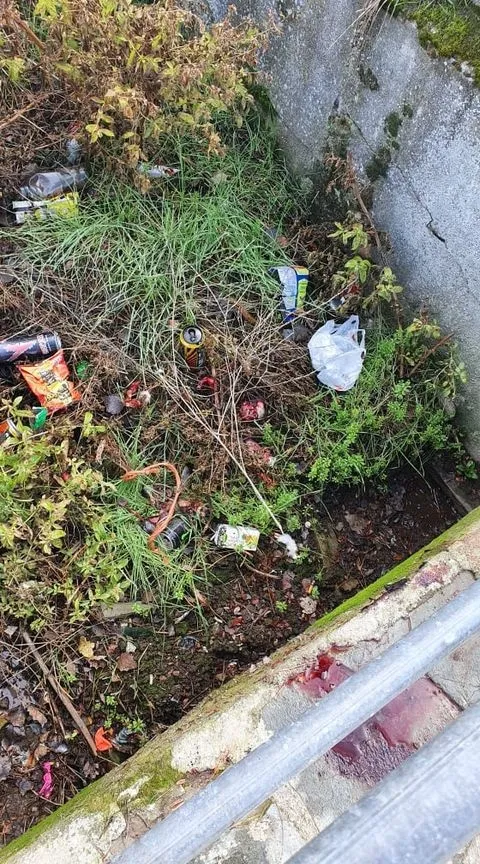 Foto 3 - Fotodenuncia | Despiece de animales en la fuente del Cornezuelo