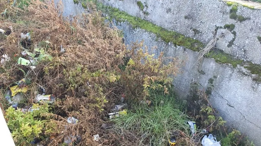 Foto 2 - Fotodenuncia | Despiece de animales en la fuente del Cornezuelo