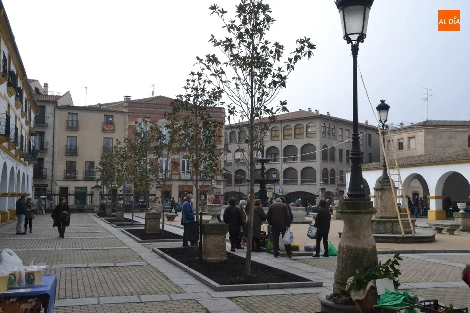 Foto 5 - 1Foto: El Mercado de siempre con un decorado totalmente diferente  