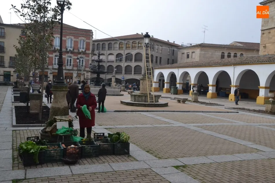 Foto 4 - 1Foto: El Mercado de siempre con un decorado totalmente diferente  