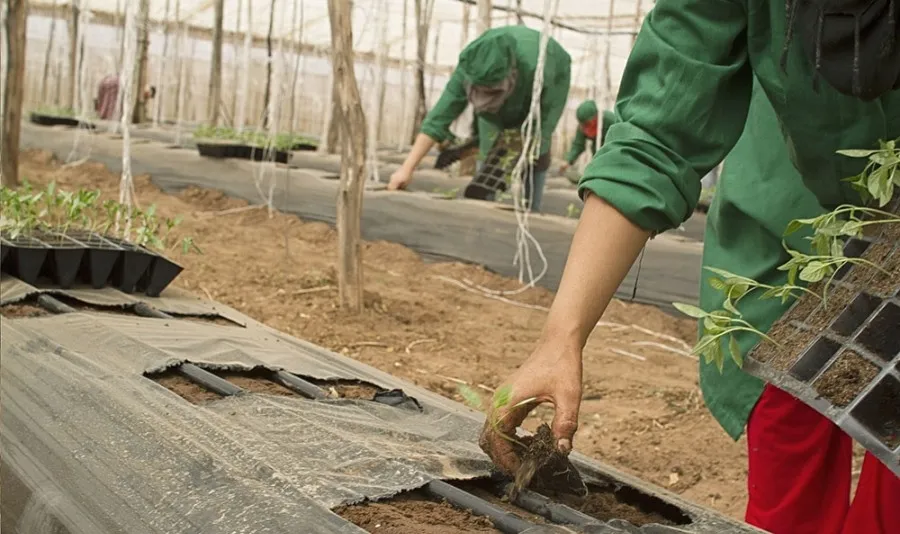 El dato de paro de noviembre, al igual que ocurrió en los meses anteriores, no incluye a los trabajadores que se encuentran en suspensión de empleo o reducción horaria como consecuencia de un ERTE. Foto mites.gob